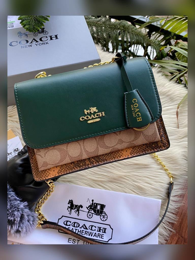 Coach klare shoulder bag