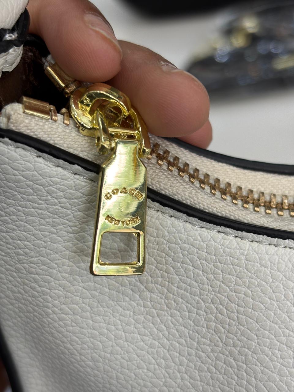 Coach kleo hobo( print )