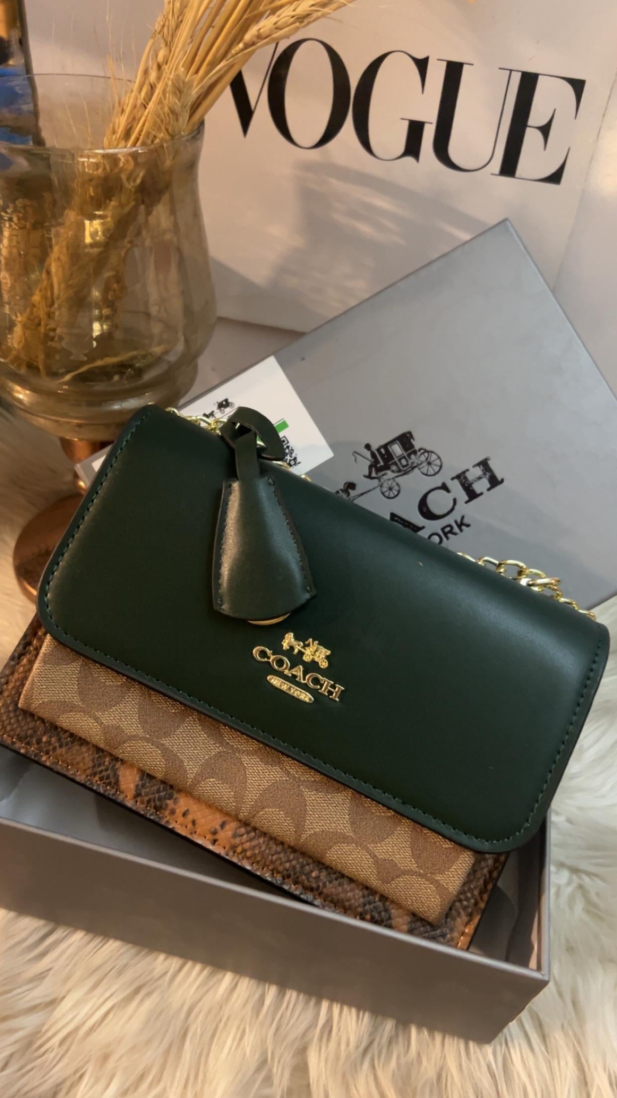 Coach klare shoulder bag