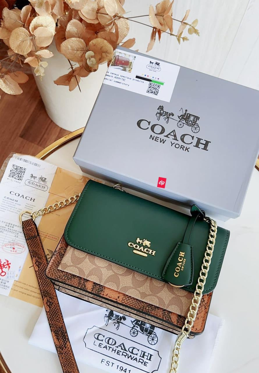 Coach klare shoulder bag