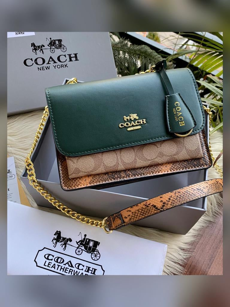 Coach klare shoulder bag