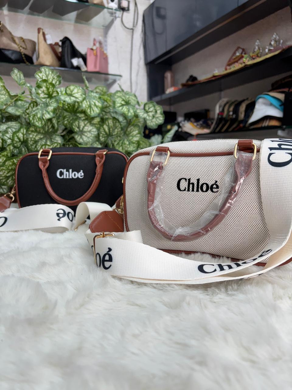 Chloe canvas sling with broad Chloe belt