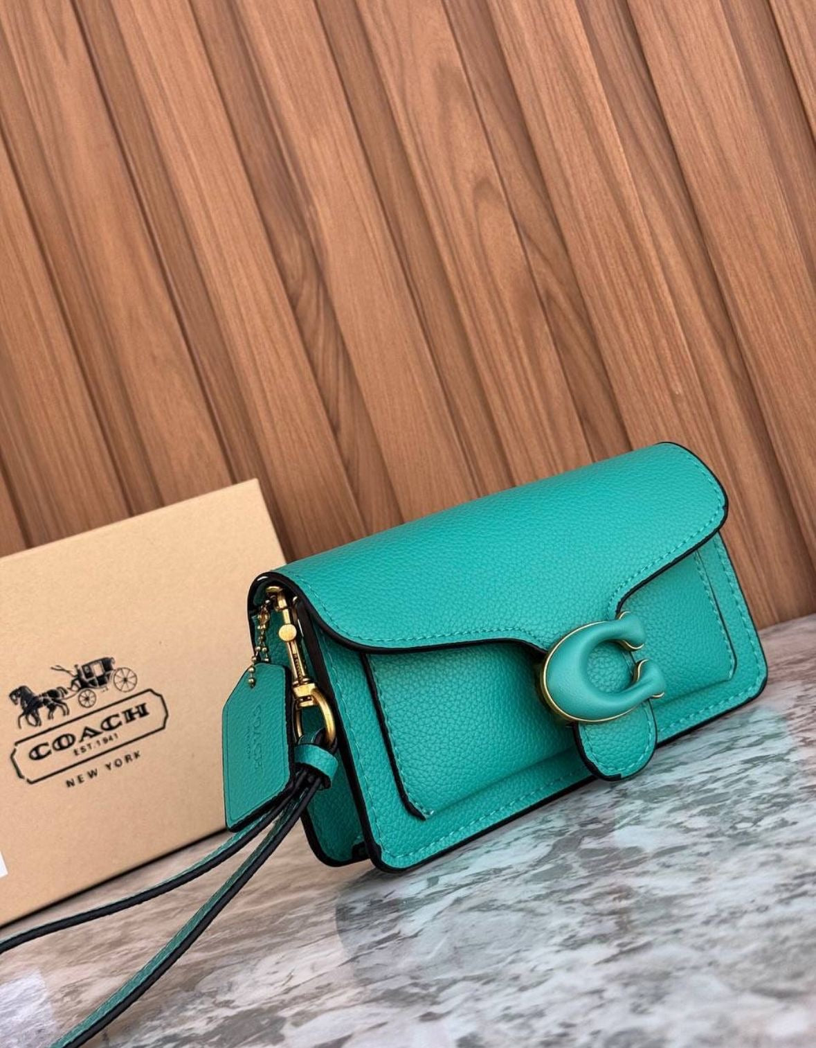 Coach mini tabby luxury bag