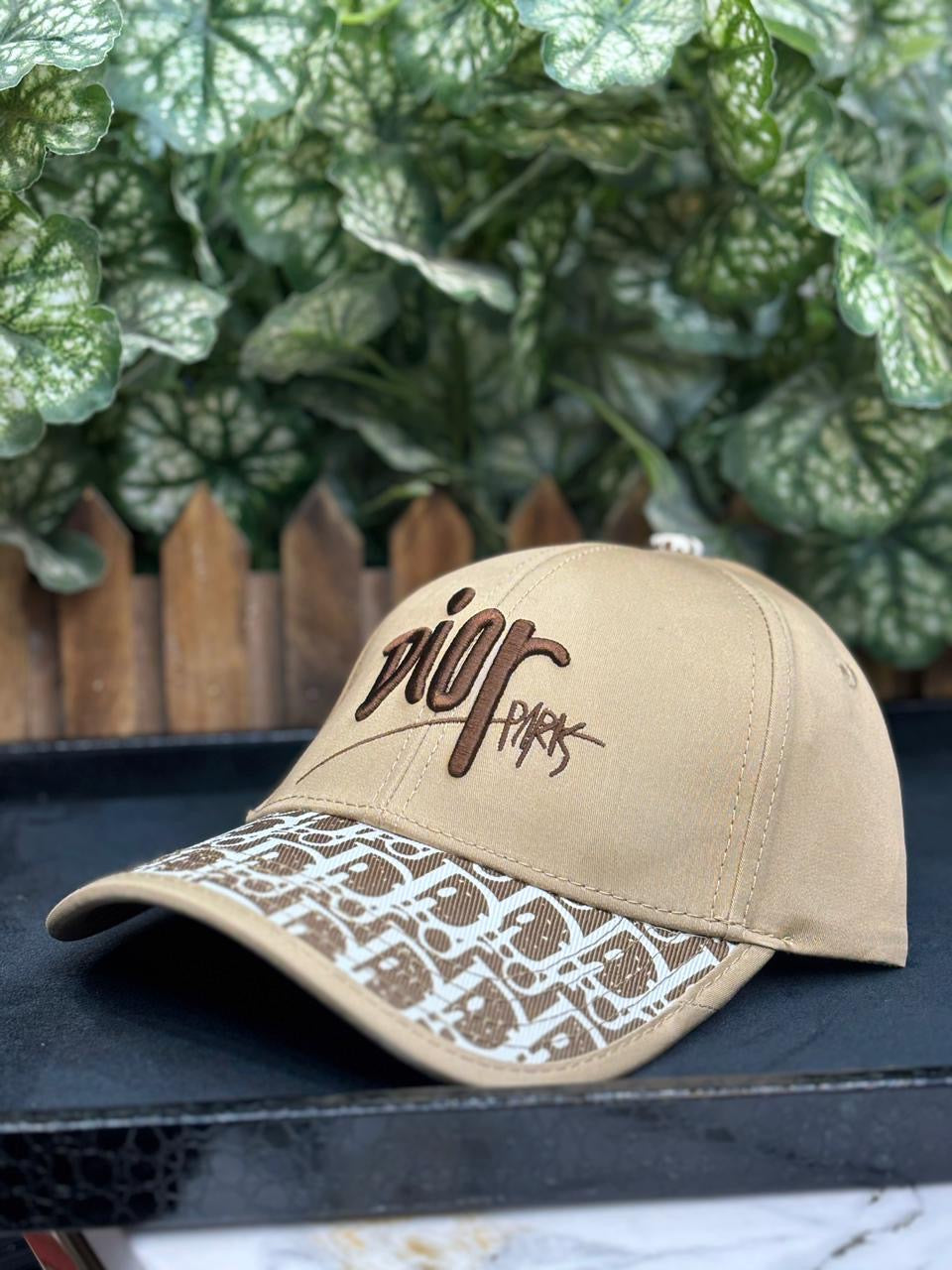 Luxury Dior cap for unisex