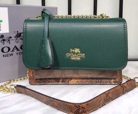 Coach klare shoulder bag