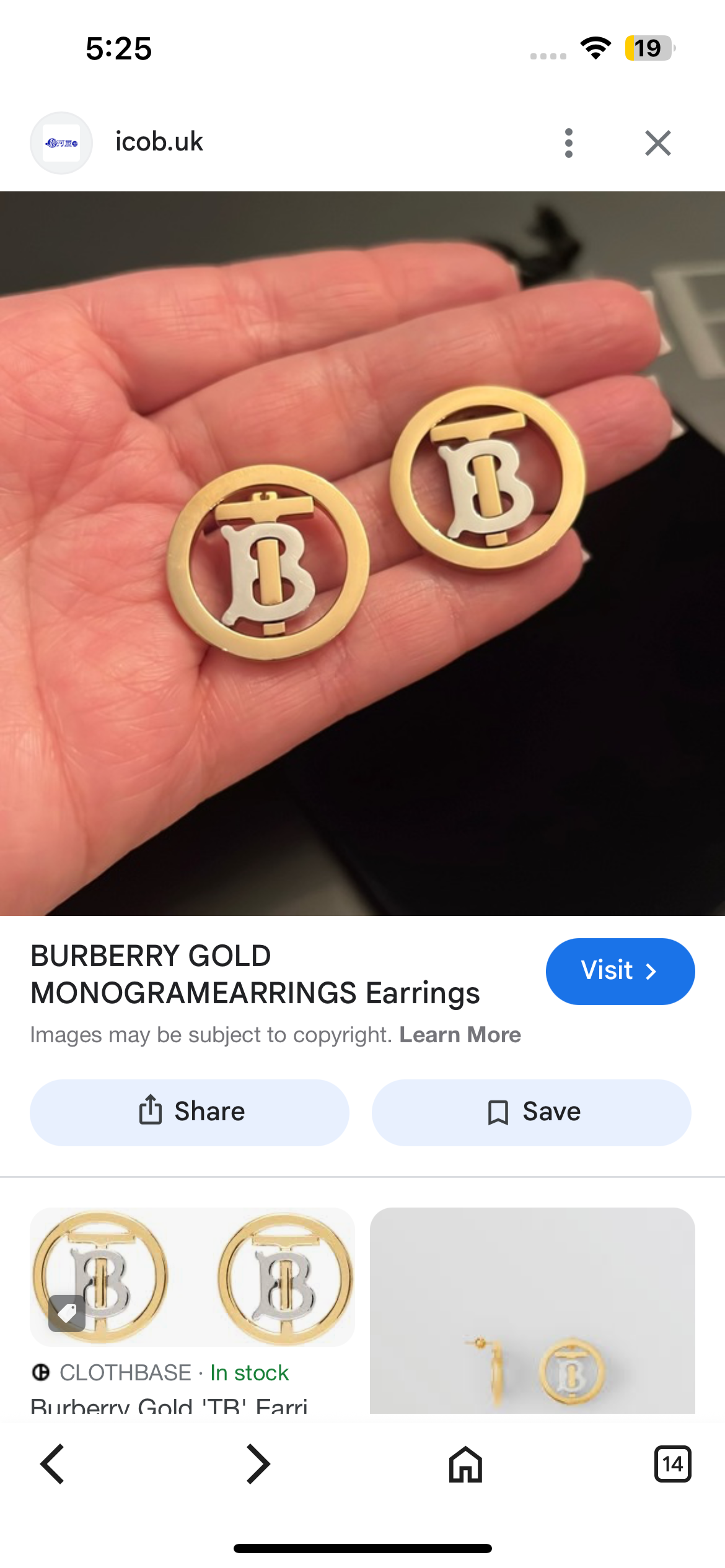 Burberry Earrings