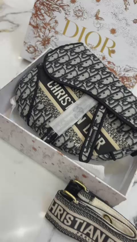 Christian dior saddle with broad belt